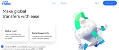 The Flyfish website homepage showcases seamless global money transfers, complemented by a striking globe image adorned with currency symbols. Whether you're managing ecommerce or exploring DTC opportunities, easily sign in or create an account to get started.